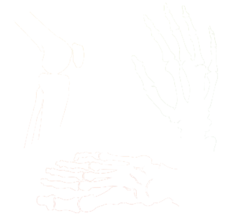 Ortho
